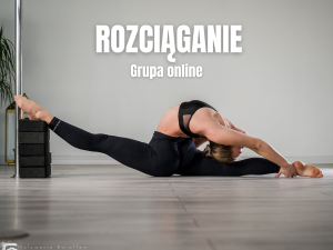 Treningi Online – wejście jednorazowe